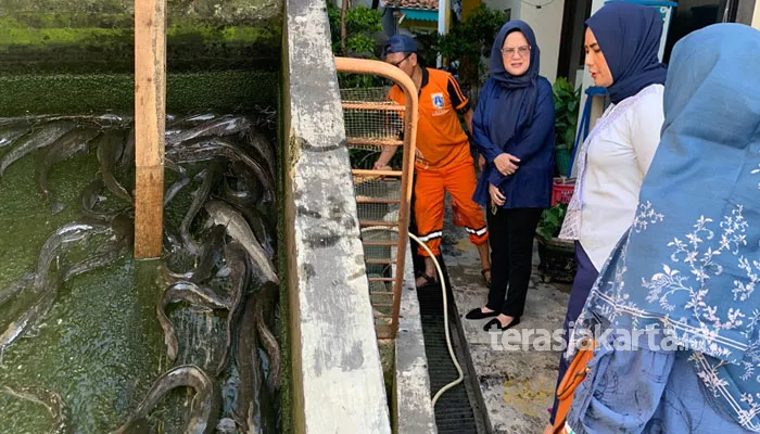 Panen Ikan Hasil Budidaya